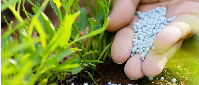 <strong>أسعار الأسمدة اليوم، فيتو</strong>