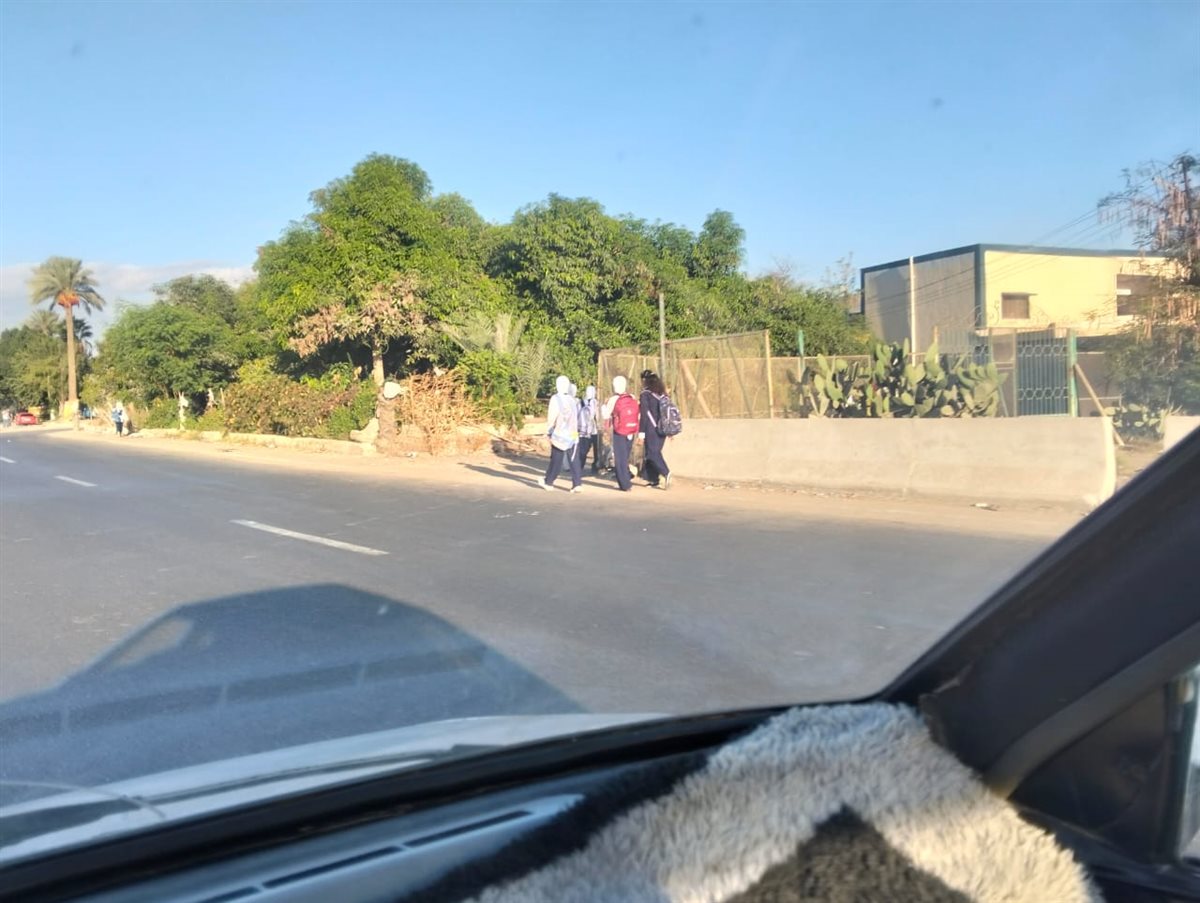 شوارع الإسماعيلية صباح اليوم، فيتو