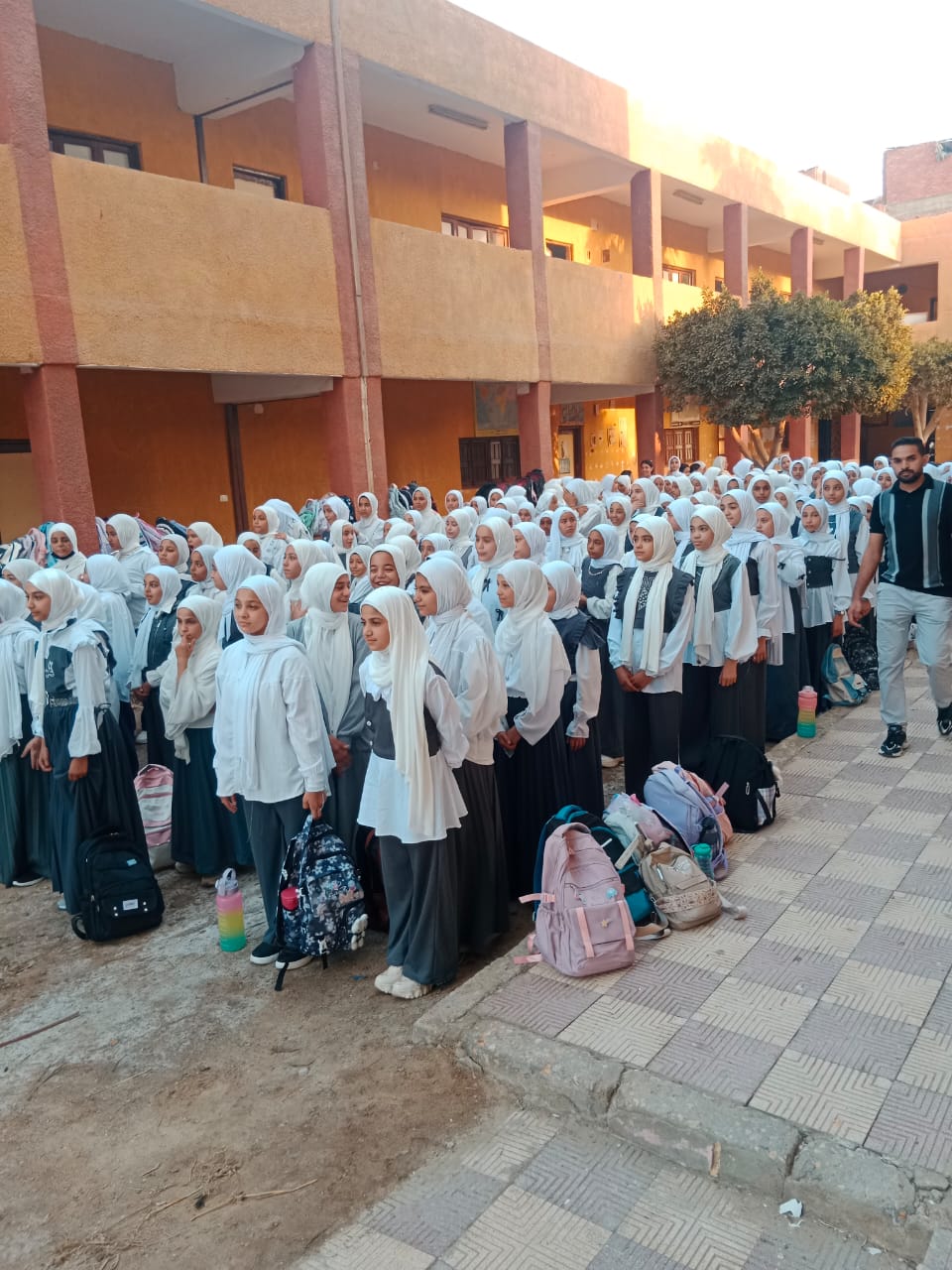 <strong>انتظام الدراسة ببني سويف</strong>