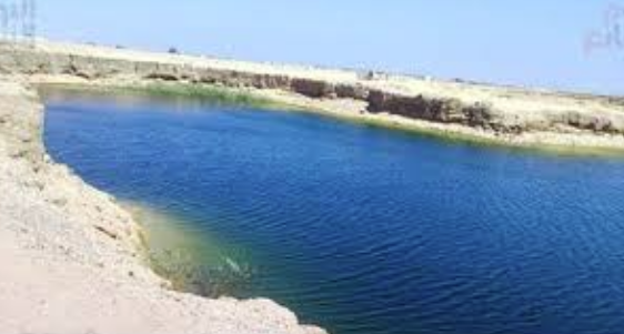 سر بحيرة البهنسا، فيتو