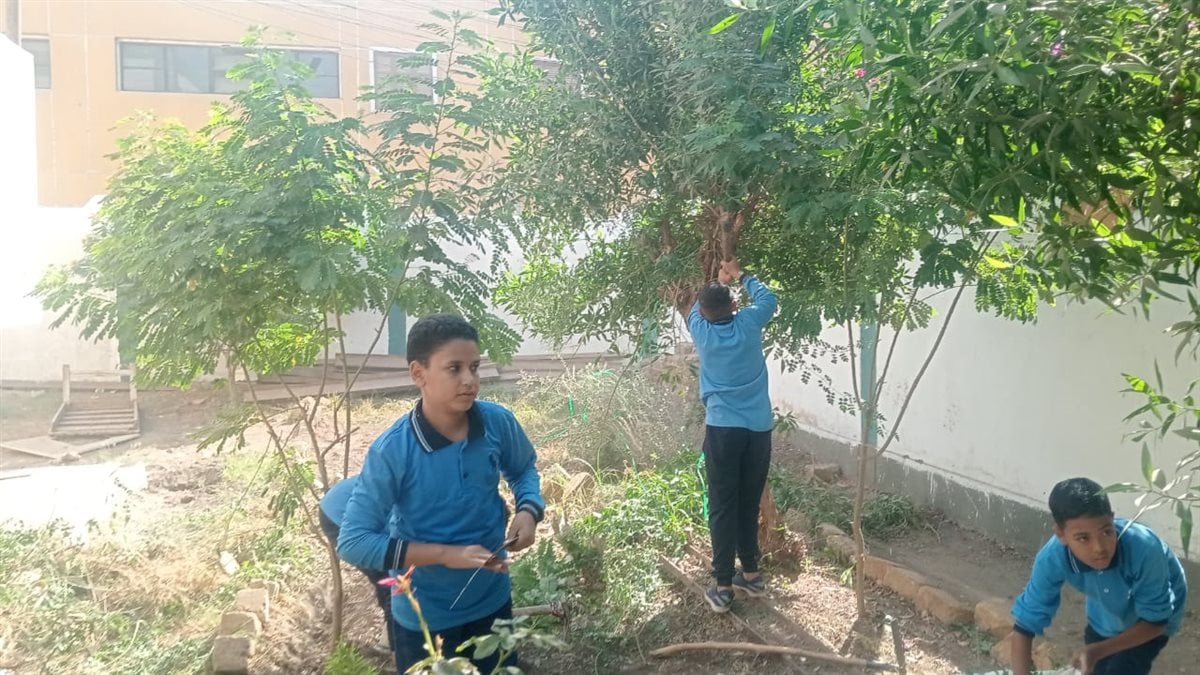 أنشطة زراعية بمدارس أسيوط