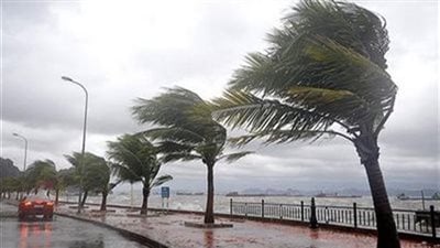 نصائح مهمة لتقوية المناعة والوقاية من الأمراض فى فصل الخريف