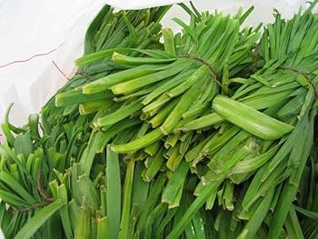 فوائد الكراث الصحية 