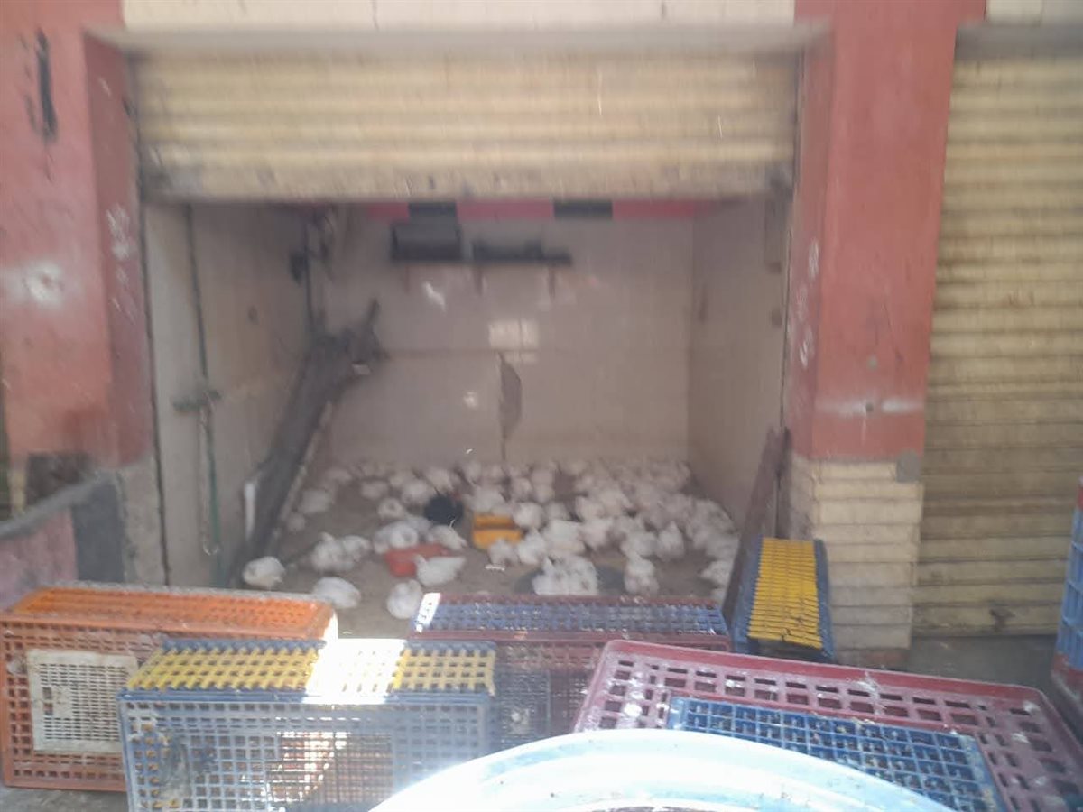 جانب من الحملات البيئية، فيتو