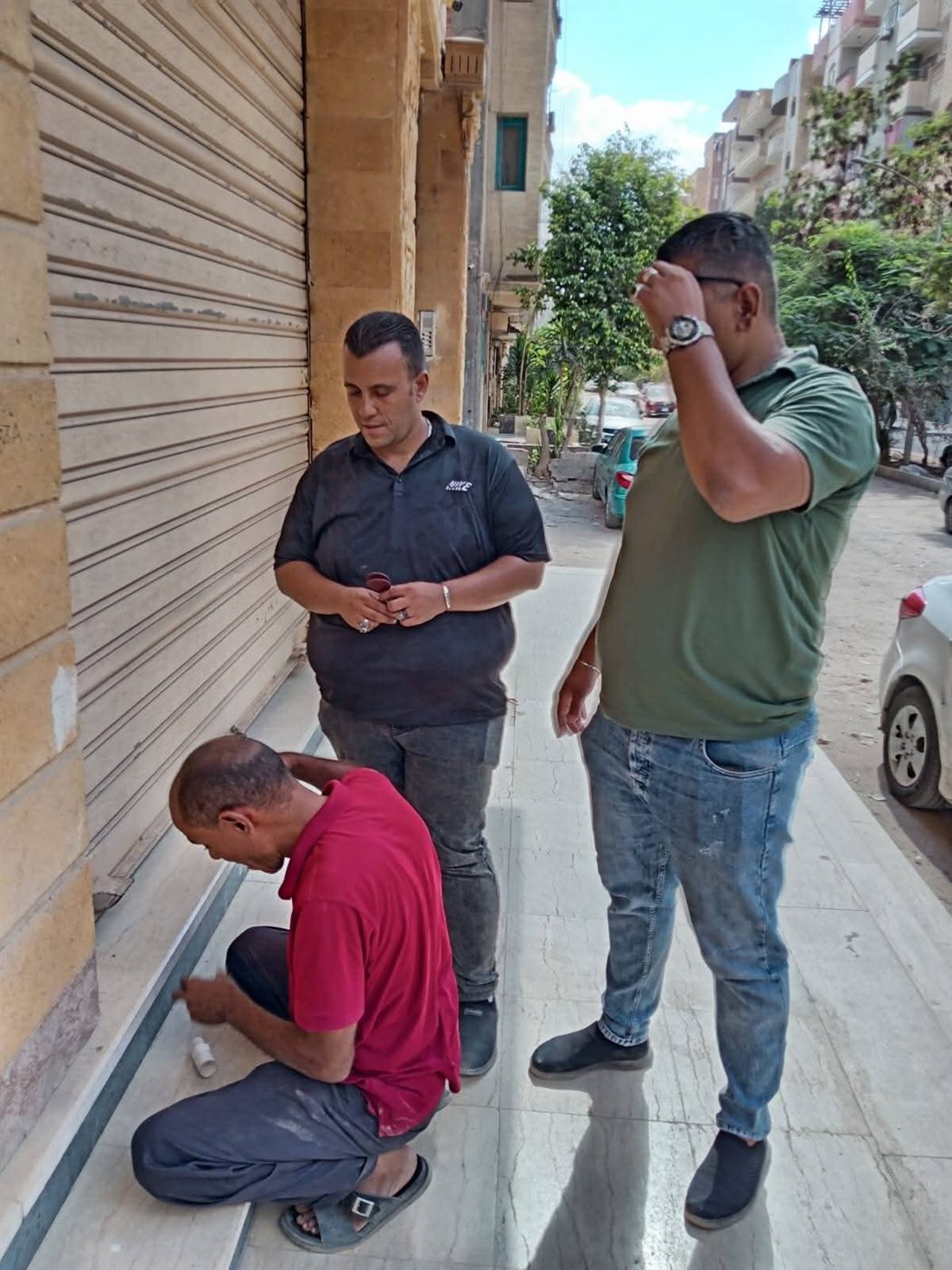 جانب من الحملة،فيتو