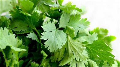 فوائد البقدونس الصحية