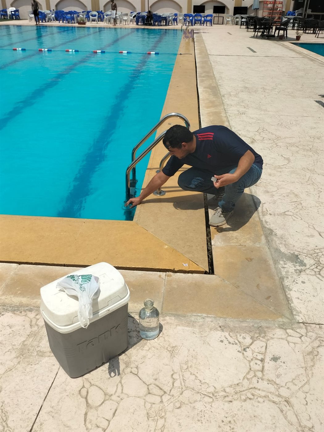 جانب من الحملات، فيتو