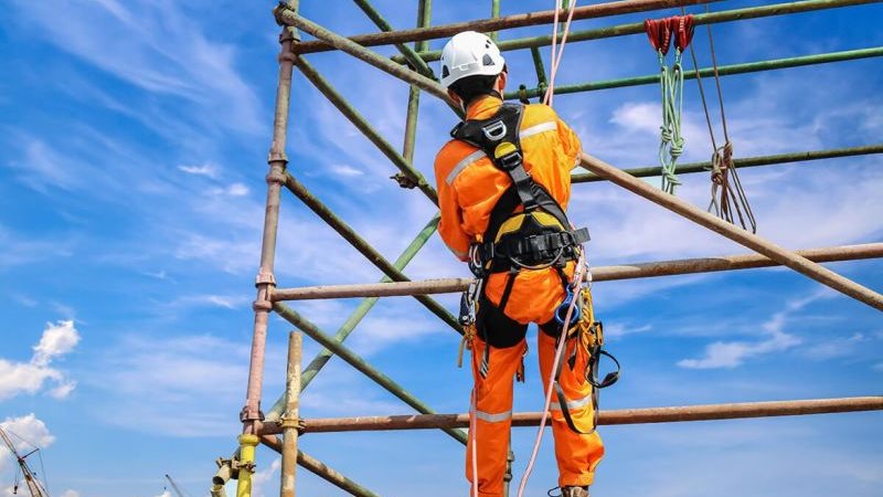 وظائف جديدة في محطة الضبعة للطاقة النووية، فيتو