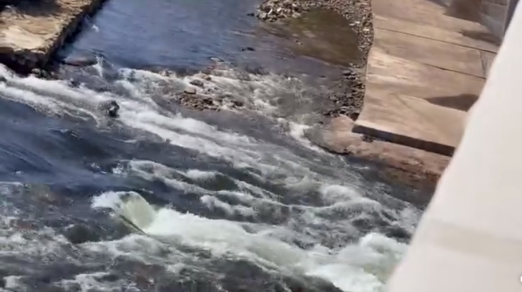 تدفقات مياه النيل وصلت مصر، فيتو