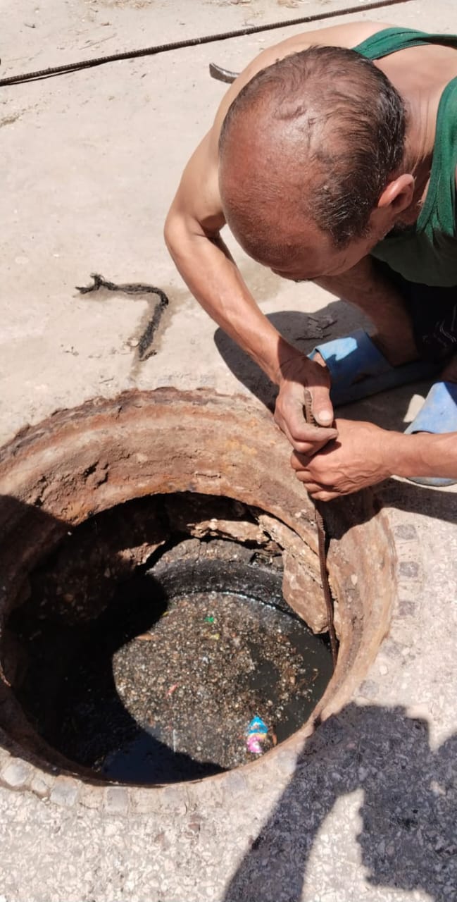 جانب من الحملات، فيتو