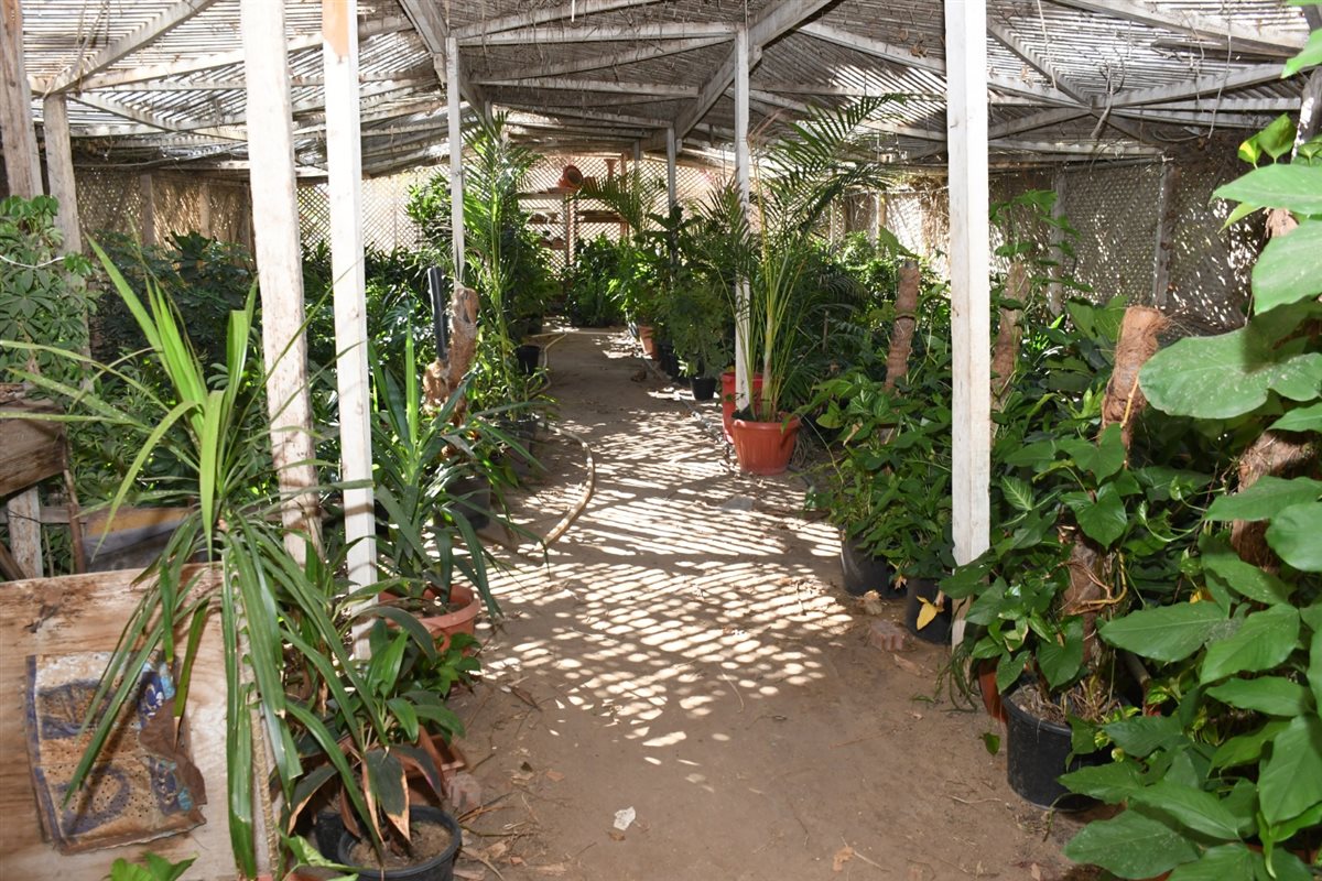 مشتل جامعة قناة السويس،فيتو