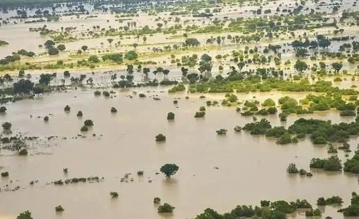 الفيضانات تدمر المحاصيل الزراعية والراضي بالسودان، فيتو