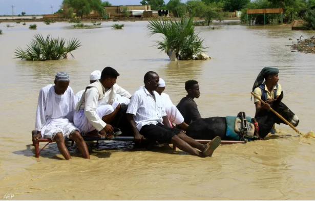 الفيضانات في السودان، فيتو