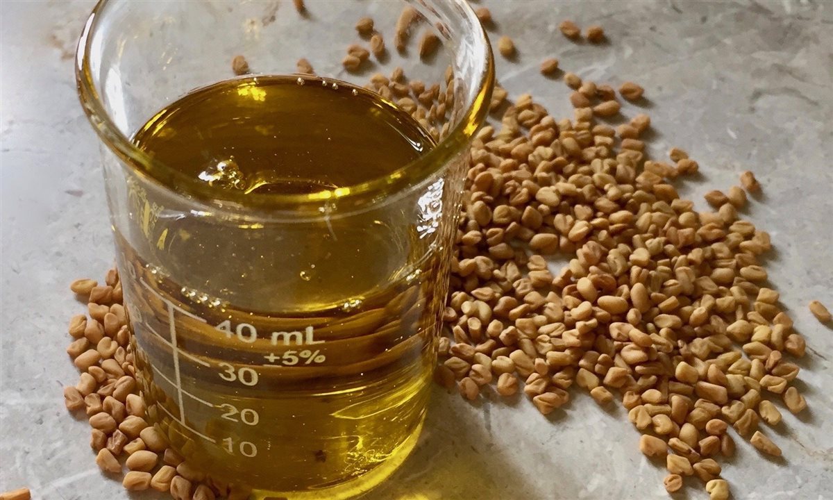 زيت الحلبة للصحة