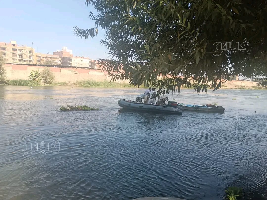 الشرقية تضبط مراكب مخالفة وتصادر معدات صيد بالكهرباء،فيتو