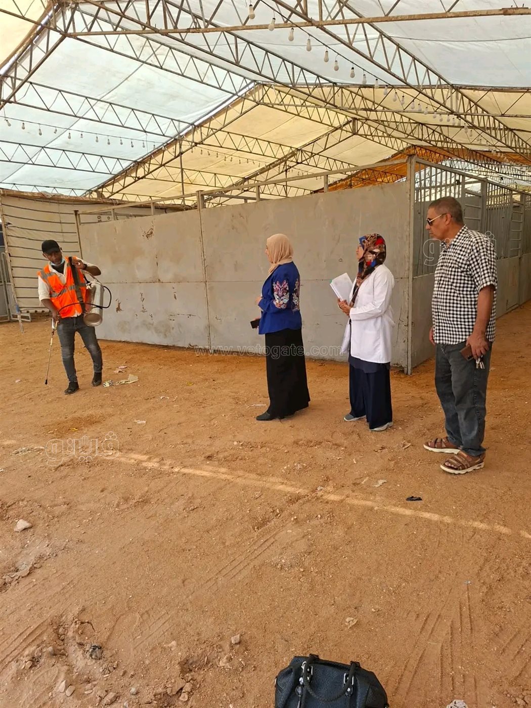 الإنتهاء من تجهيزات مهرجان الخيول العربية بالشرقية،فيتو