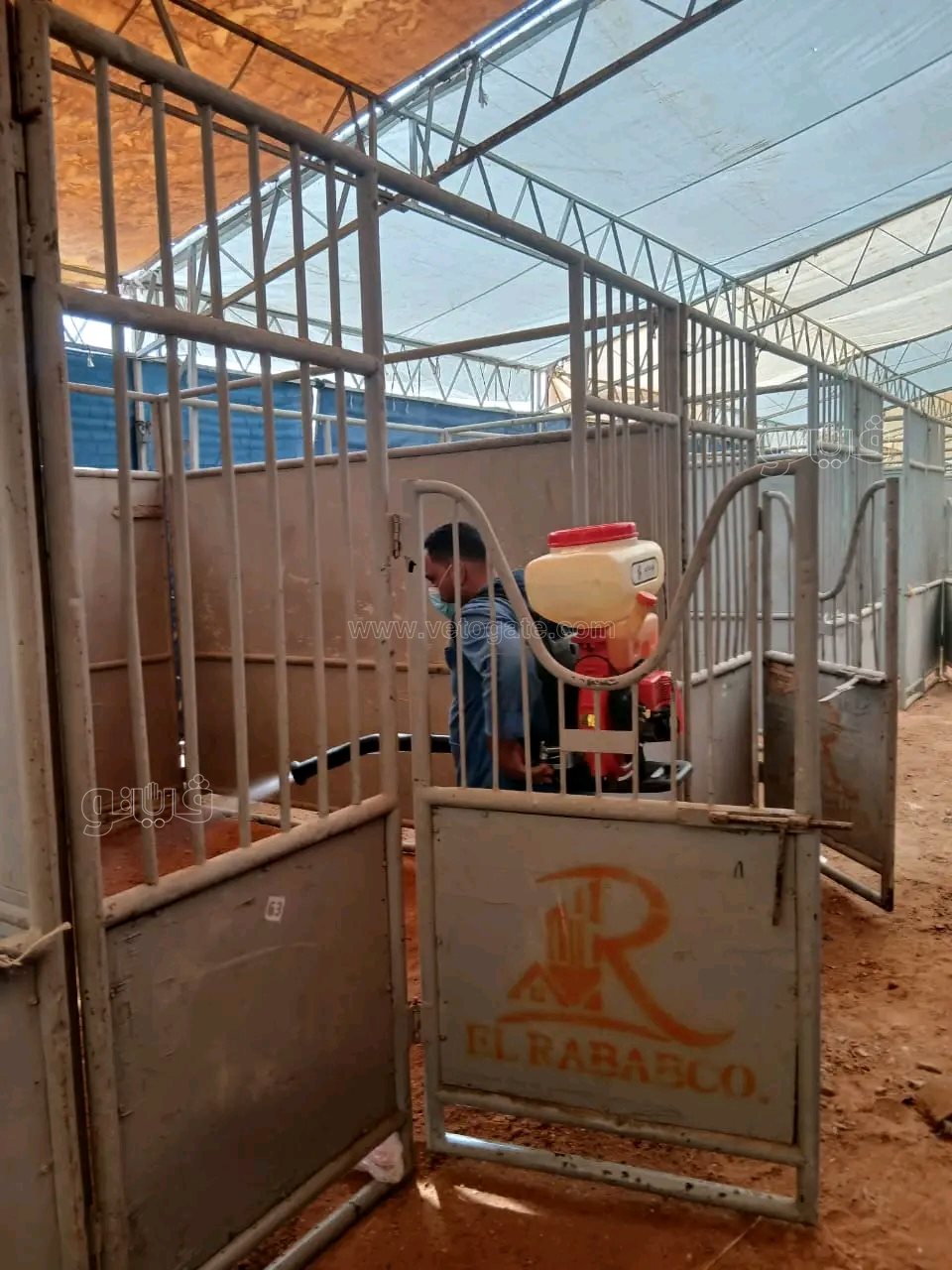 الإنتهاء من تجهيزات مهرجان الخيول العربية بالشرقية،فيتو