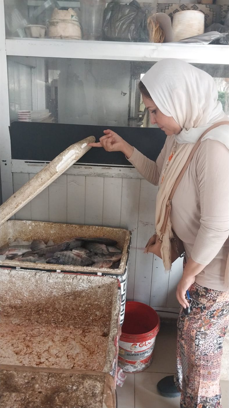 جانب من الحملات، فيتو