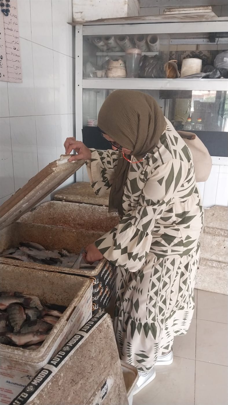 جانب من الحملات، فيتو