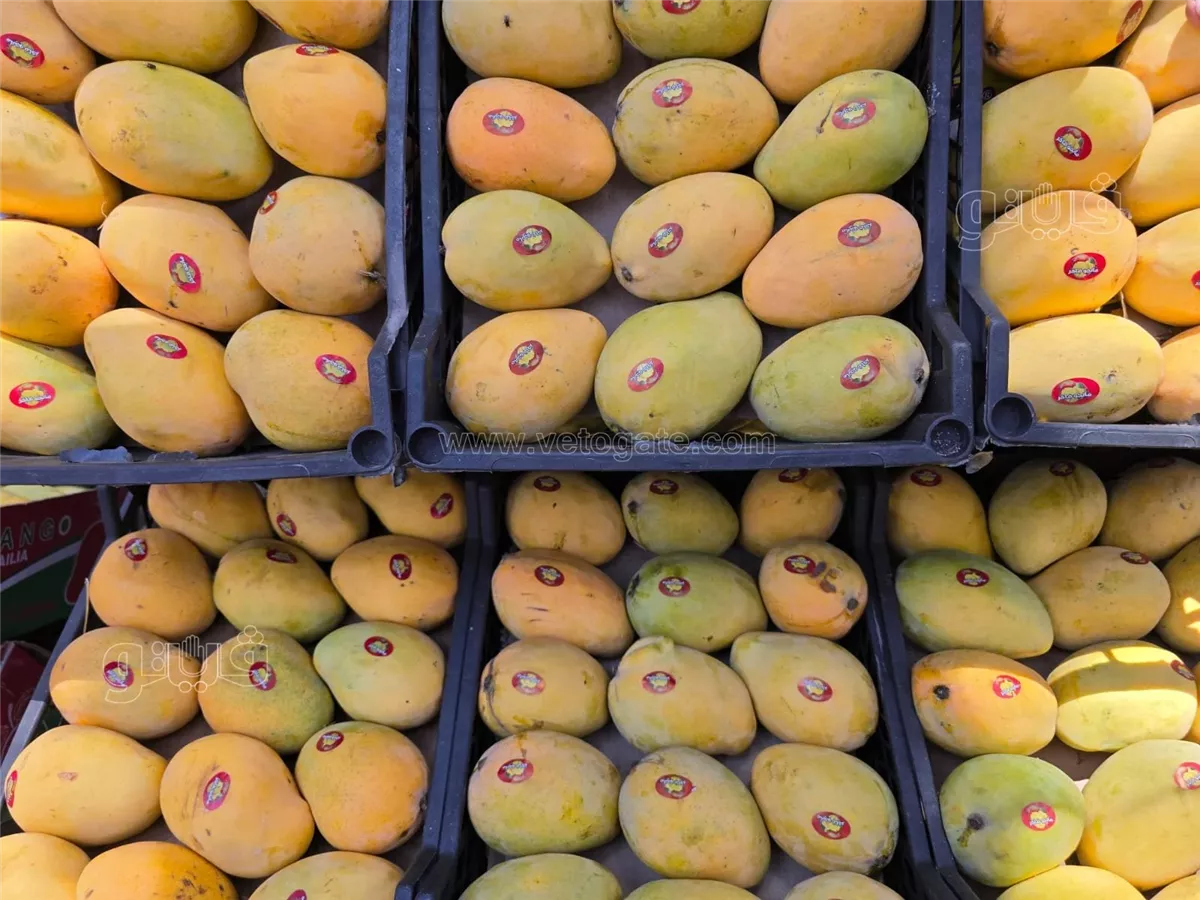 <strong>سعر الفاكهة اليوم</strong>