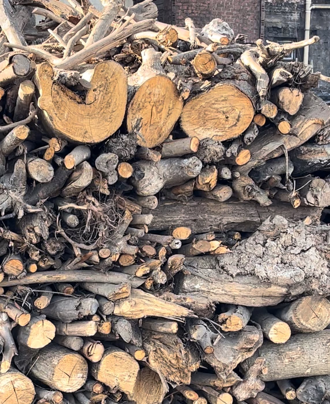 قرية البوصيلي القرية الأشهر في صناعة الفحم بالبحيرة، فيتو