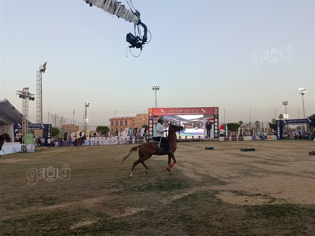 مهرجان الشرقية للخيول العربية الأصيلة،فيتو