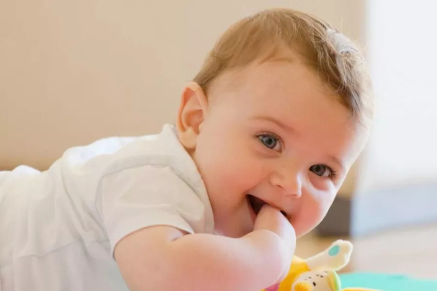 فوائد تقديم السمك للطفل الرضيع 