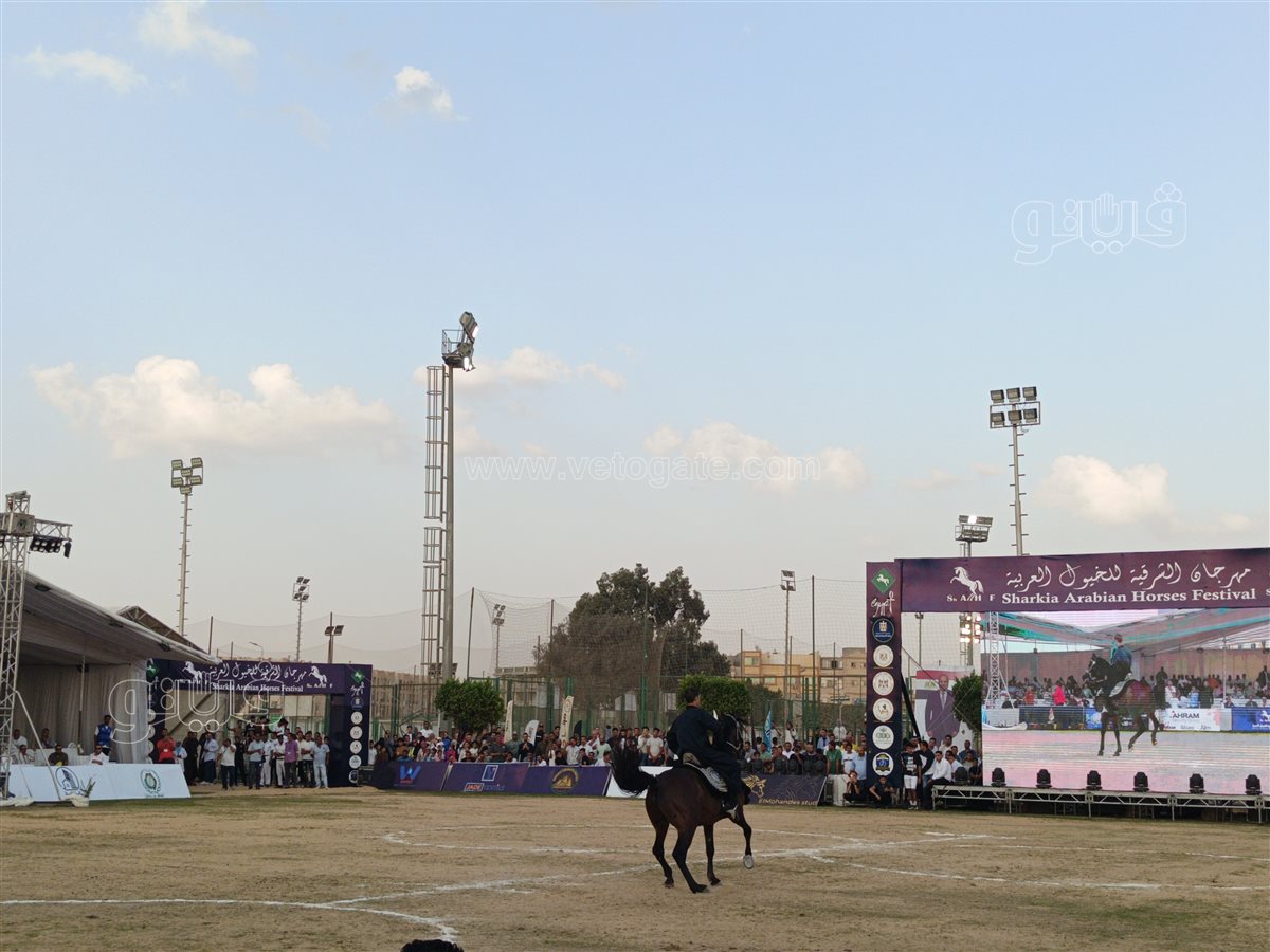 اليوم الختامي لمهرجان <a href=