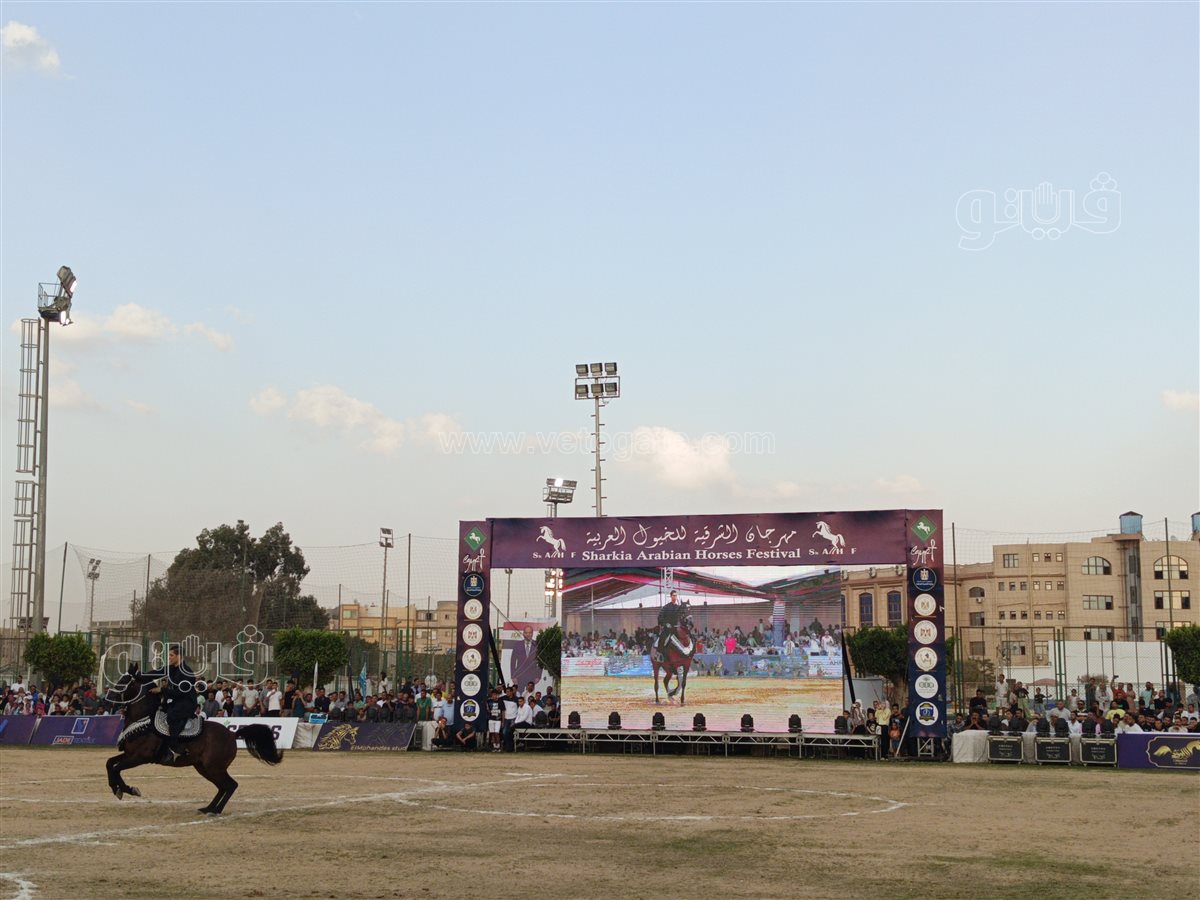 اليوم الختامي لمهرجان <a href=