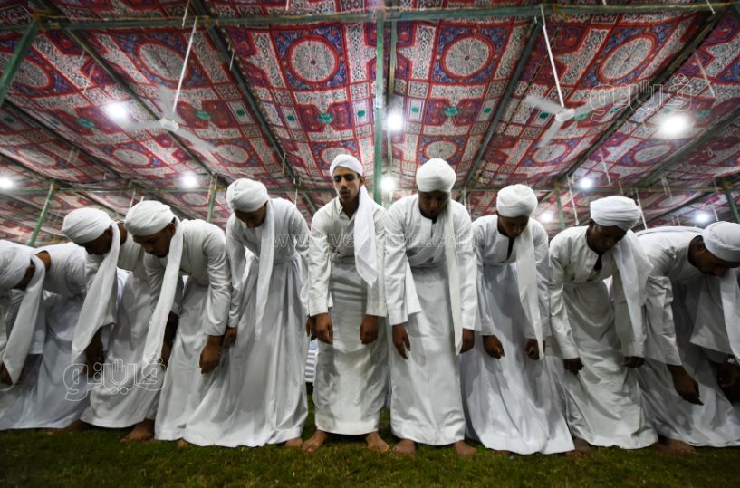 تحدي فرسان على أصوله (2)