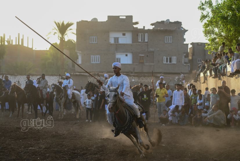 تحدي فرسان على أصوله (5)
