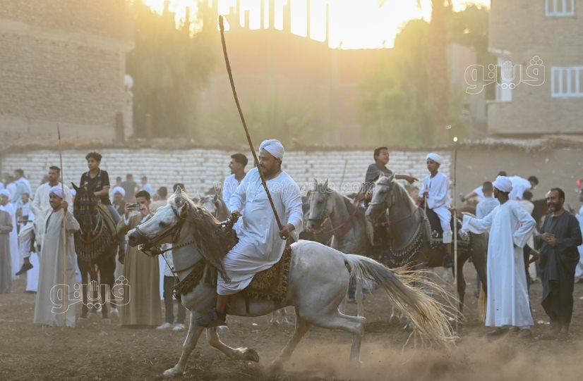 تحدي فرسان على أصوله (10)