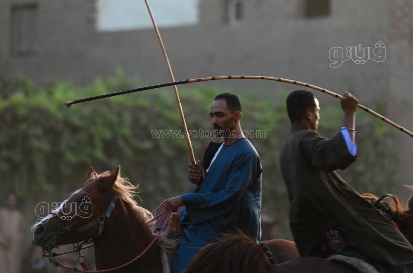 تحدي فرسان على أصوله (11)