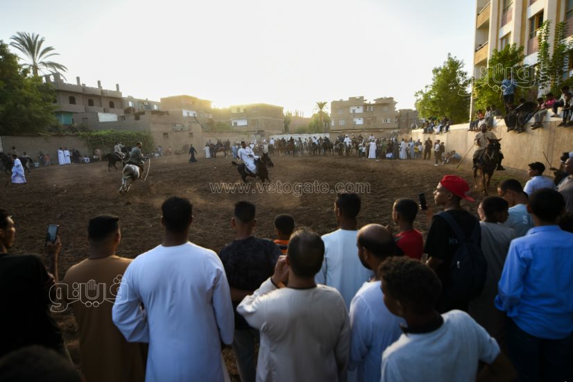 تحدي فرسان على أصوله (12)