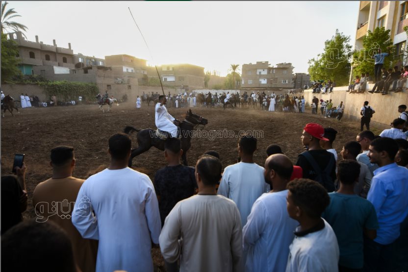 تحدي فرسان على أصوله (13)