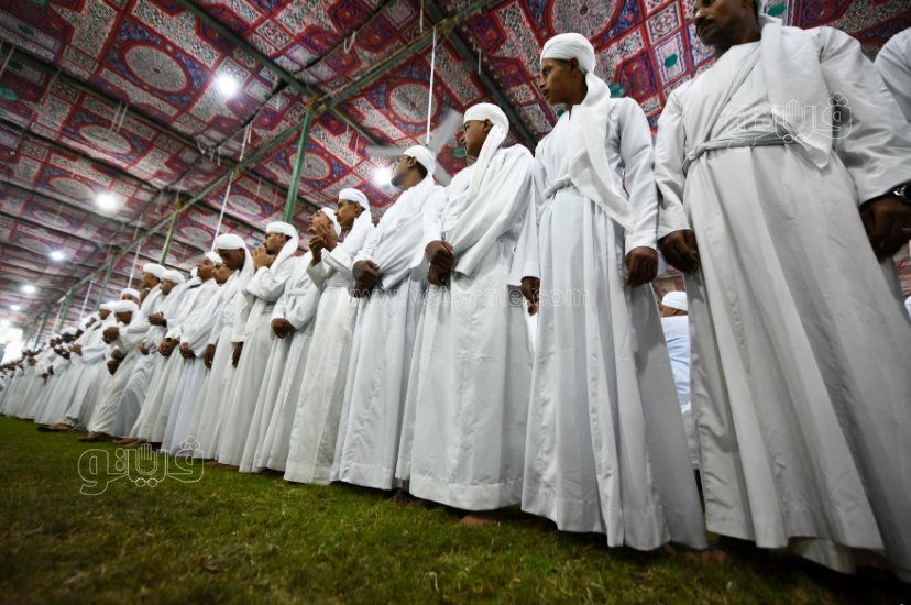 تحدي فرسان على أصوله (14)