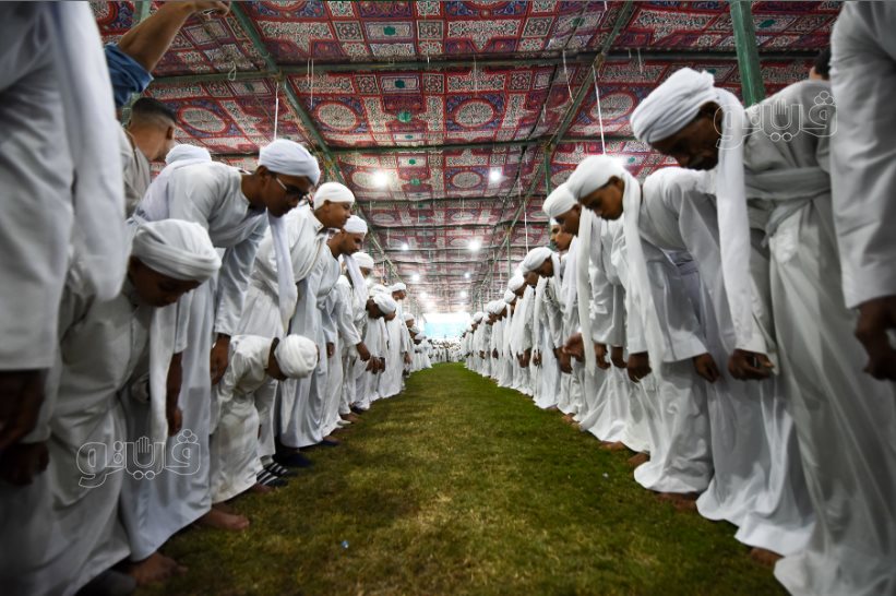 تحدي فرسان على أصوله (20)