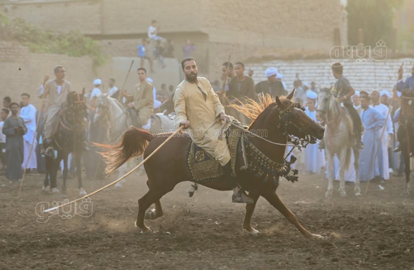 تحدي فرسان على أصوله (23)