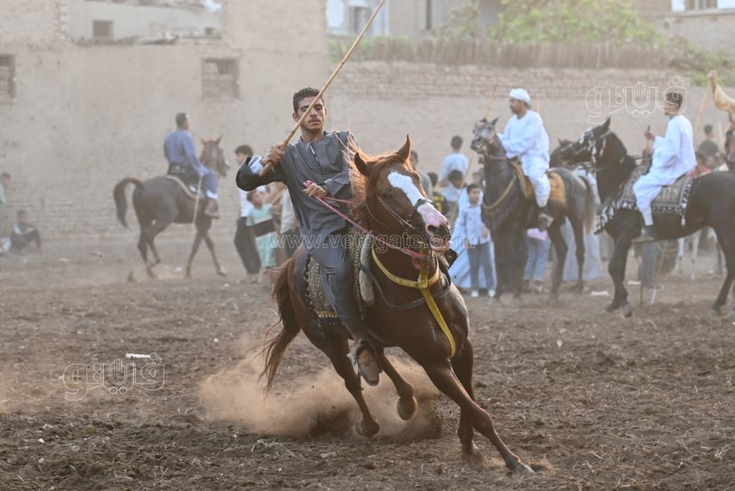 تحدي فرسان على أصوله (24)