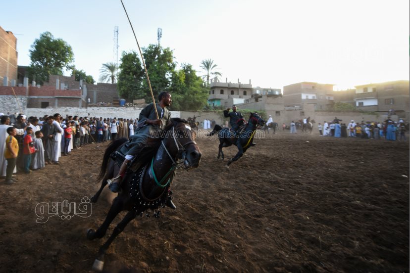 تحدي فرسان على أصوله (27)