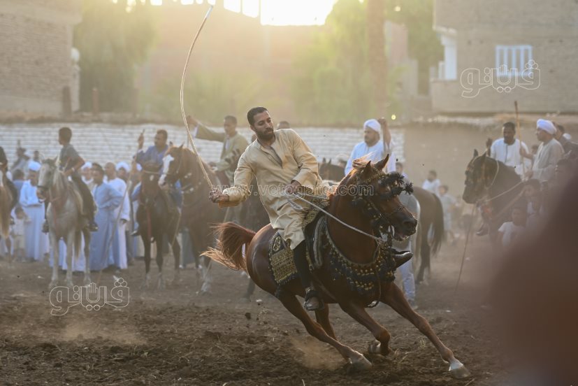 تحدي فرسان على أصوله (28)