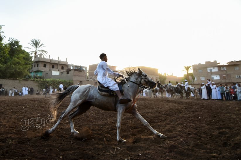 تحدي فرسان على أصوله (29)