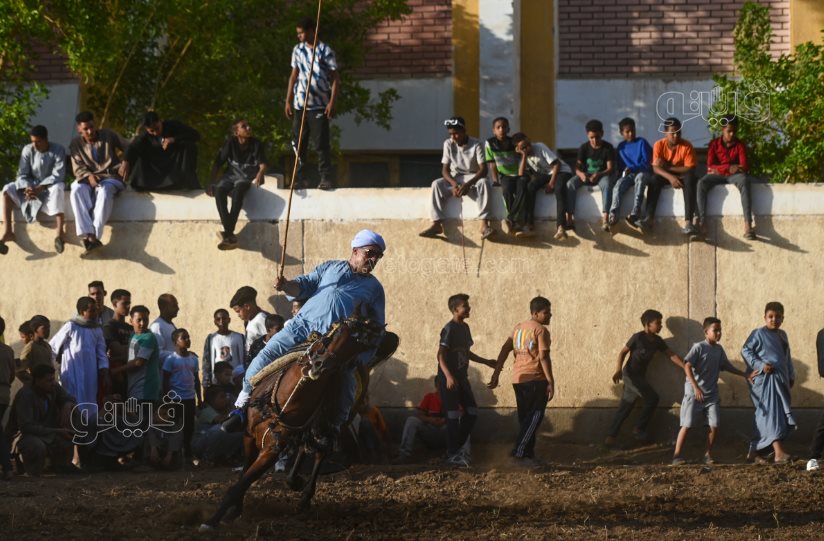 تحدي فرسان على أصوله (30)