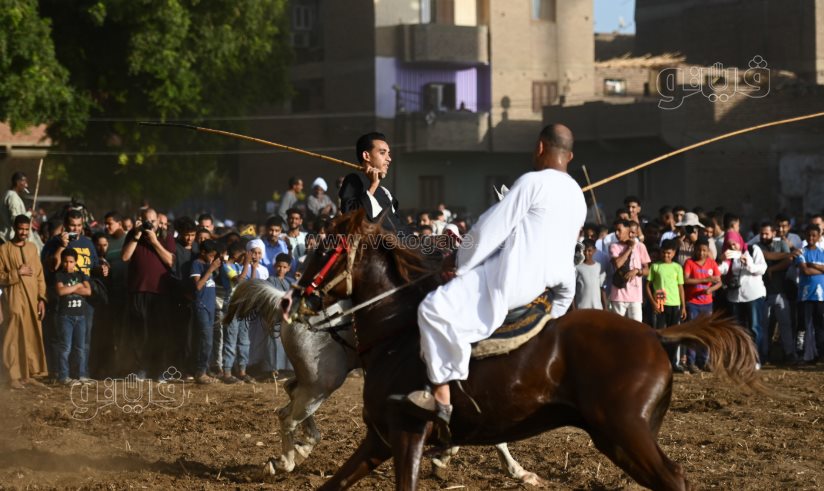 تحدي فرسان على أصوله (32)