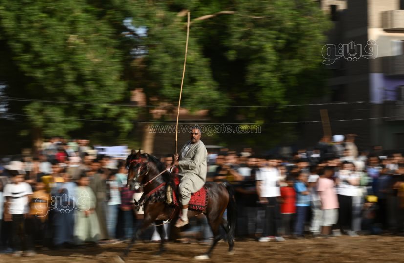 تحدي فرسان على أصوله (34)