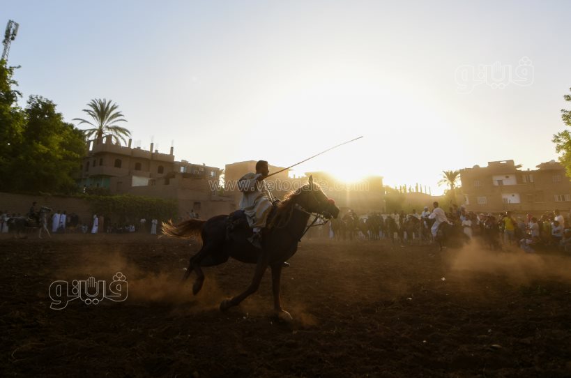 تحدي فرسان على أصوله (36)