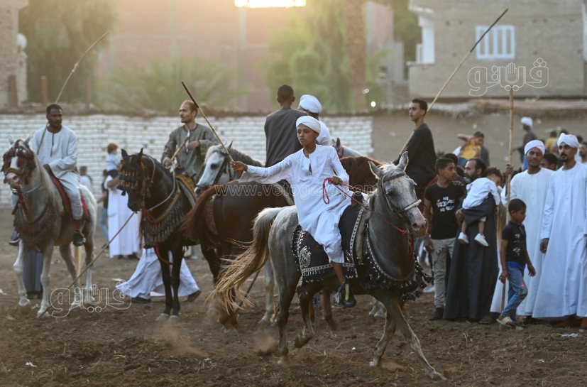 تحدي فرسان على أصوله (37)