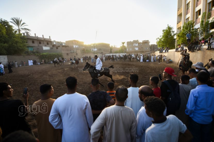 تحدي فرسان على أصوله (38)