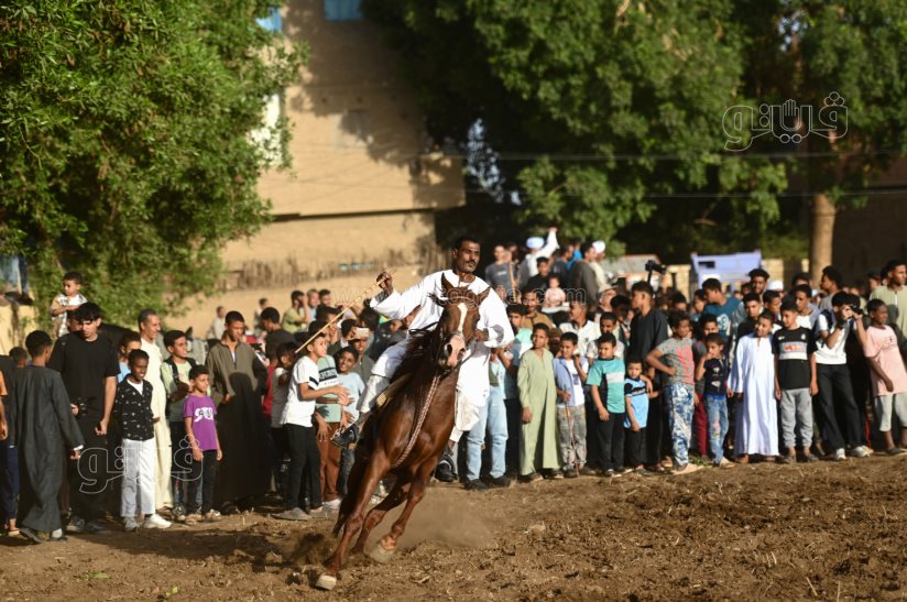 تحدي فرسان على أصوله (40)