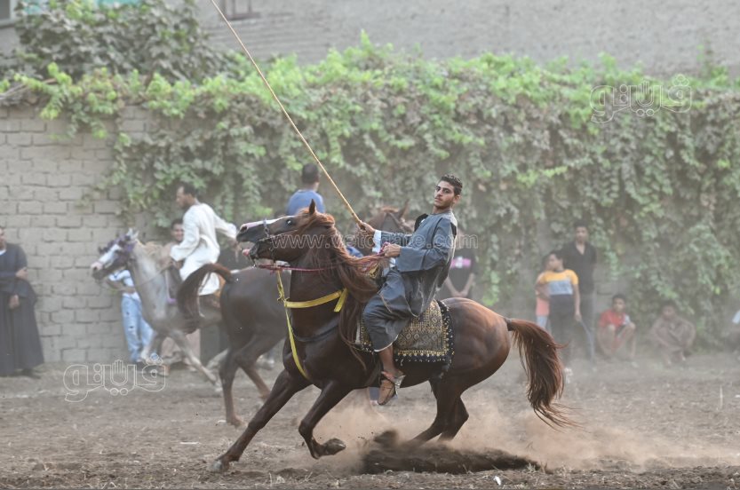تحدي فرسان على أصوله (42)